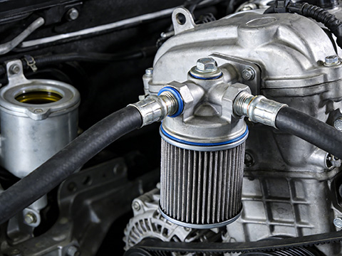 Integrity Cooperation, Forging Global Trust